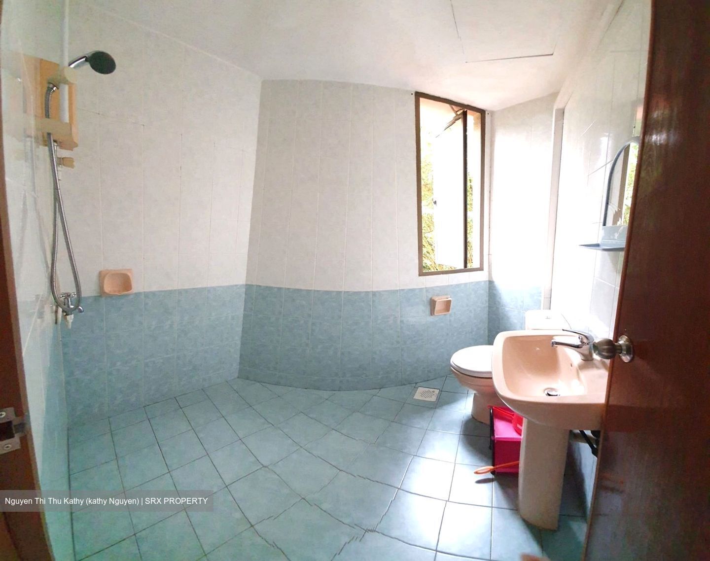 Balmoral Luck (D10), Condominium #599279831